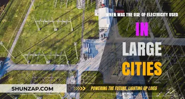 Electricity's Urban Revolution: When Large Cities Lit Up