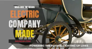 The Birth of Woods Electric: A Historical Journey