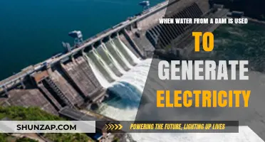 Harnessing Hydropower: How Dam Water Powers Electricity Generation