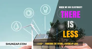 Using Electricity Efficiently: Understanding the Impact of Reduced Consumption