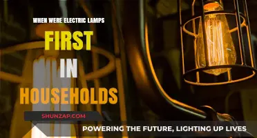 The Evolution of Electric Lamps in Homes