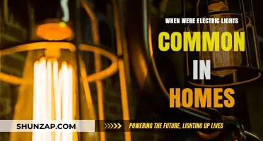 Electric Lights: When Did They Shine in Homes?