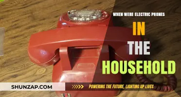 The Electric Phone's Entry into Households