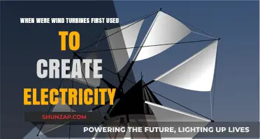 The Surprising Origins of Wind Turbines in Electricity Generation