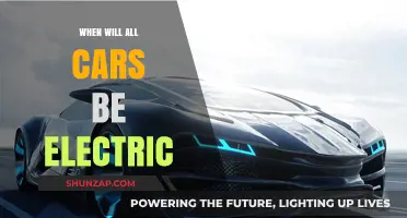 The Future of Electric Vehicles: When Will All Cars Go Green?