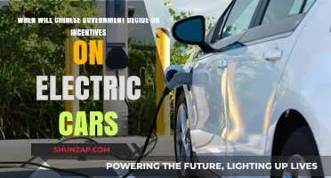 China's Electric Vehicle Incentives: When Will the Decision Be Made?