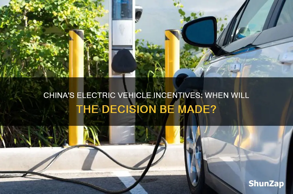 when will chinese government decide on incentives on electric cars