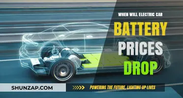 When Will Electric Car Battery Prices Finally Become Affordable?