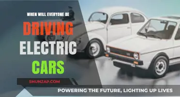 The Electric Future: When Will Everyone Switch to EVs?