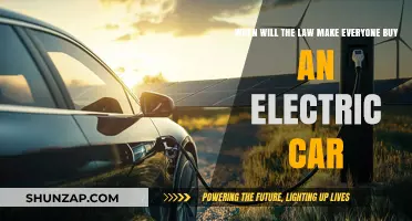 When Will Legislation Mandate Electric Vehicles for All Drivers?