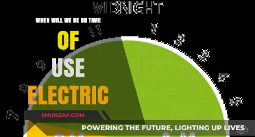 When Will We Embrace Time-of-Use Electricity for a Greener Future?