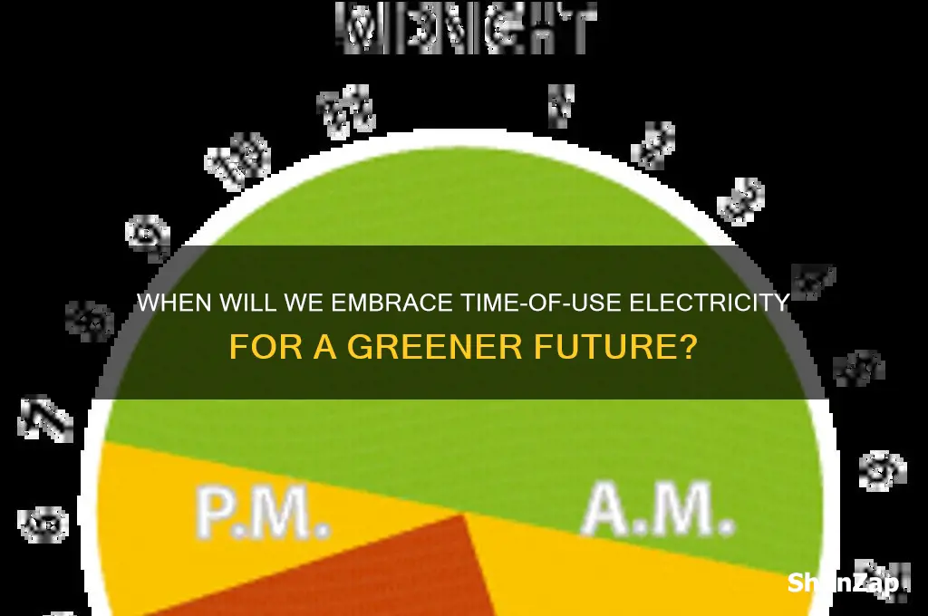 when will we be on time of use electric