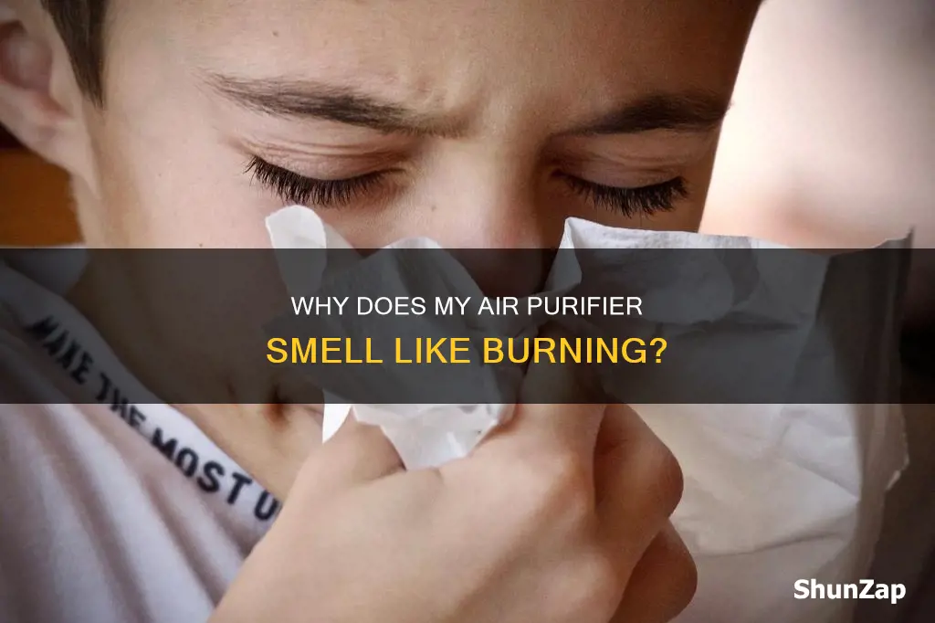 when you air purifier smells like electrical
