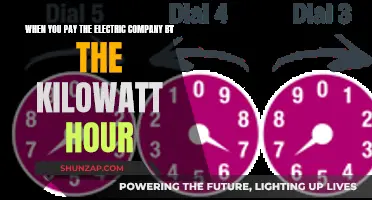 Electricity Costs: Kilowatt-Hour Payment Plans Explained