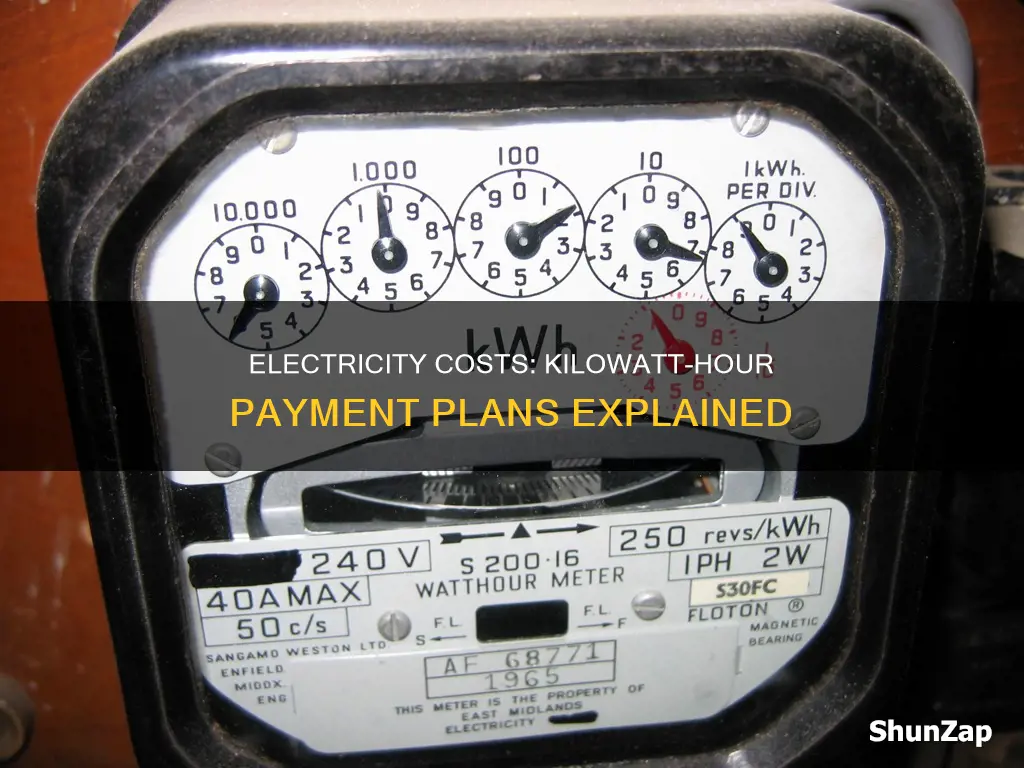 when you pay the electric company by the kilowatt hour