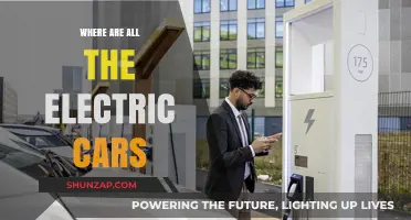 Where Are All the Electric Cars? Exploring the Slow Adoption