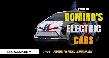 Domino's Electric Cars: Tracking Their Green Delivery Fleet's Location