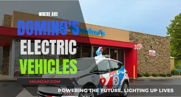 Dominos' Electric Vehicle Mystery: Unveiling the Green Delivery Fleet's Location