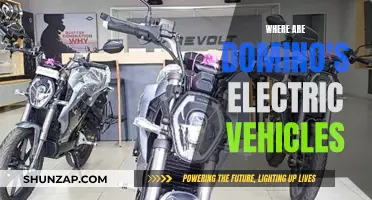 Domino's Electric Vehicles: Where Are They Now?
