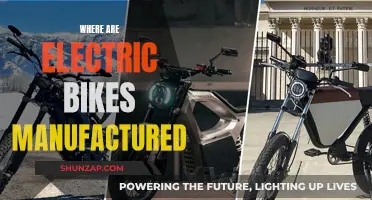 The Global Manufacturing Hub of Electric Bikes