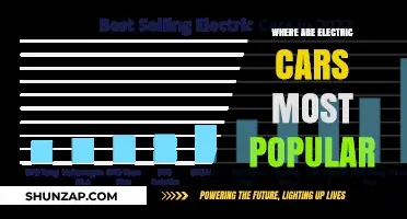 Global Leaders: Where Electric Vehicles Dominate the Automotive Market