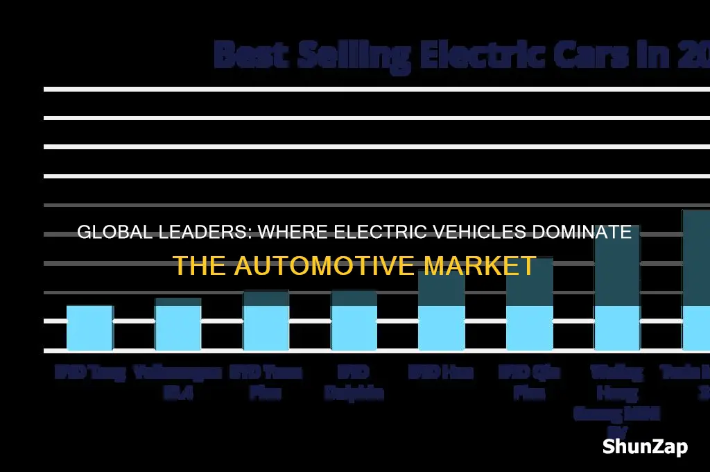where are electric cars most popular
