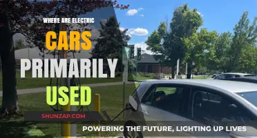 Where Electric Cars Dominate: Primary Usage Locations and Trends