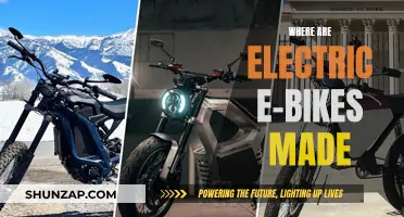 The Global Manufacturing Landscape of Electric Bikes