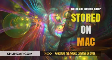 Exploring Electric Sheep Storage on Your Mac