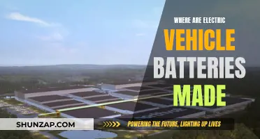 Unveiling the Global EV Battery Manufacturing Network