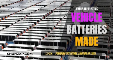 The Global Landscape of Electric Vehicle Battery Manufacturing