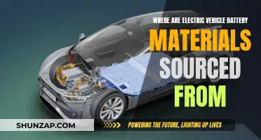 Electric Vehicle Batteries: Sourcing Materials for the Future