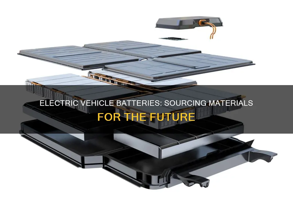 where are electric vehicle battery materials sourced from