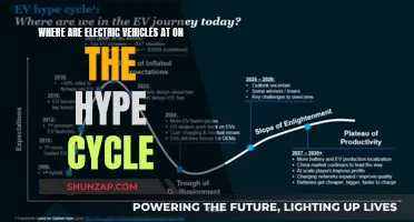 Electric Vehicles: Navigating the Hype Cycle's Peak