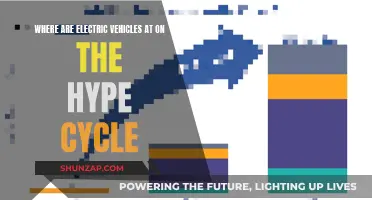 The Evolution of Electric Vehicles: Hype or Reality?