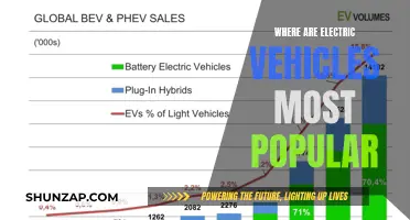 Electric Revolution: Top Regions Embracing Green Cars