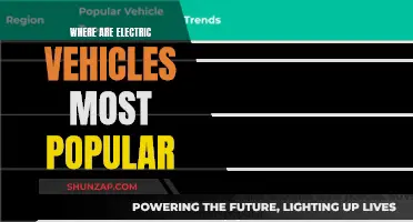 Electric Vehicles: Global Adoption and Popularity Trends