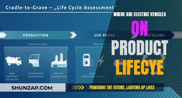 Electric Vehicles: Navigating the Product Lifecycle from Birth to End