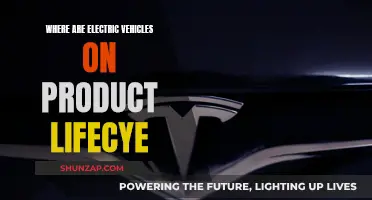 Electric Vehicles: Are They in Their Prime?
