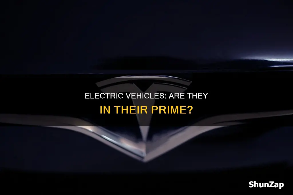 where are electric vehicles on product lifecye