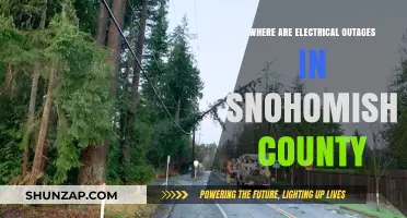 Snohomish County Electrical Outages: Where and Why?