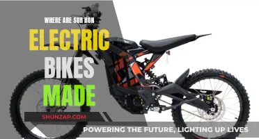 Sur-Ron Electric Bikes: Made in China, Going Global