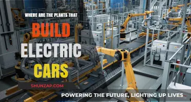 Global Hubs: Where Electric Vehicle Manufacturing Plants Are Located