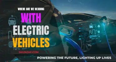 The Future of Electric Vehicles: A Global Revolution