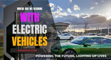 Electric Vehicles: The Future of Sustainable Transportation