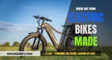 Young Electric Bikes: Where Are They Manufactured?