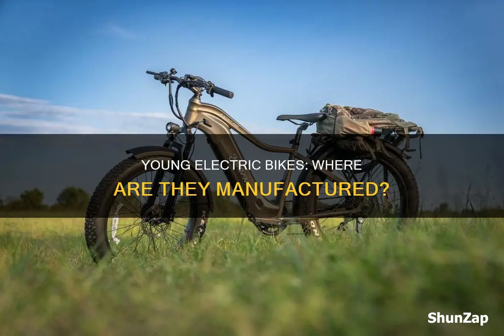 where are young electric bikes made