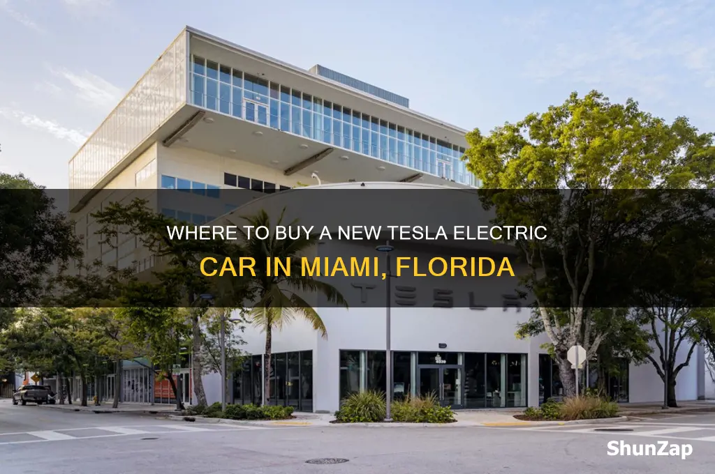 where buy new electric car tesla miami florida
