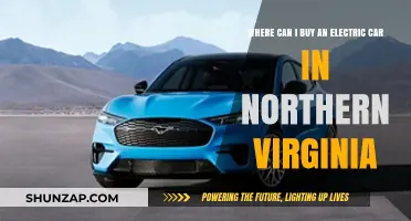 Top Electric Car Dealerships in Northern Virginia: Your Ultimate Guide