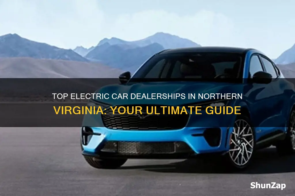 where can i buy an electric car in northern virginia